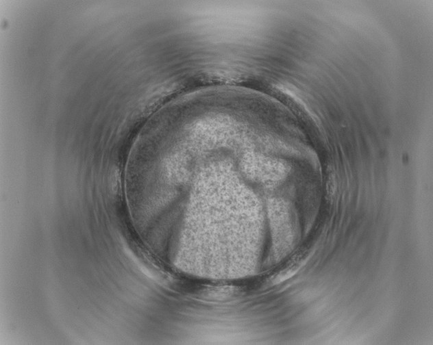 X0000089380459200707061143