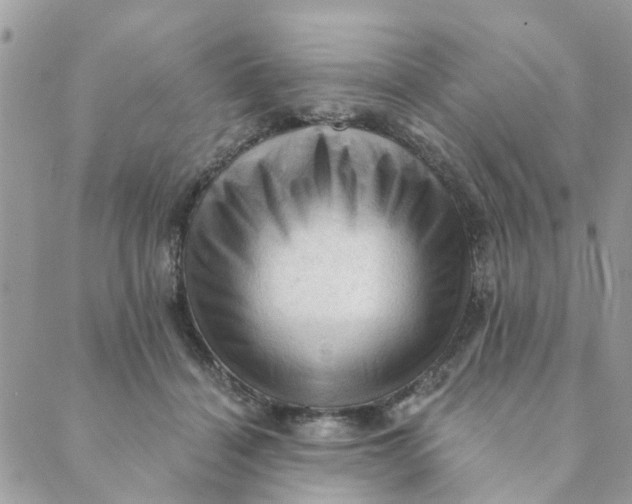 X0000089380460200707061143