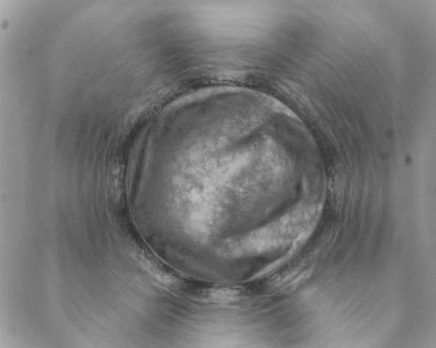 X0000089380462200707061143