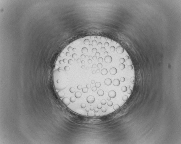 X0000089380463200707061143