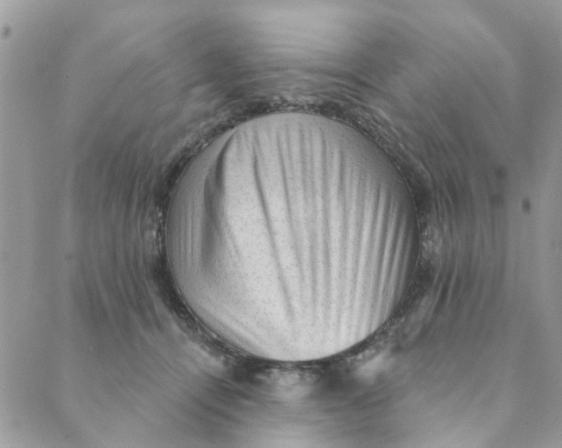 X0000089380464200707061143