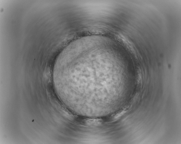 X0000089380465200707061143