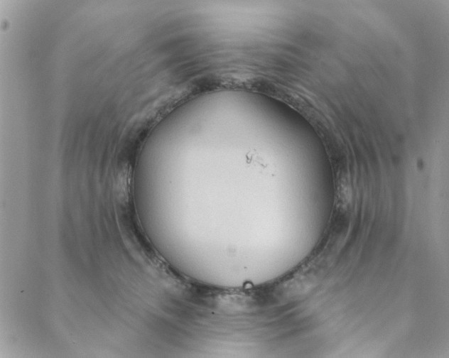 X0000089380468200707061143