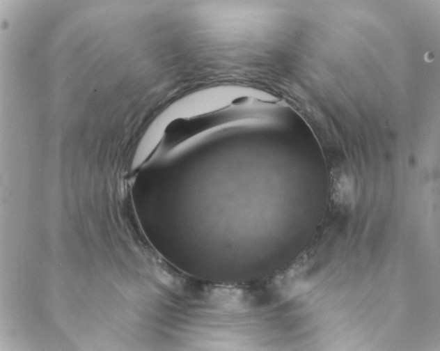 X0000089380471200707061143