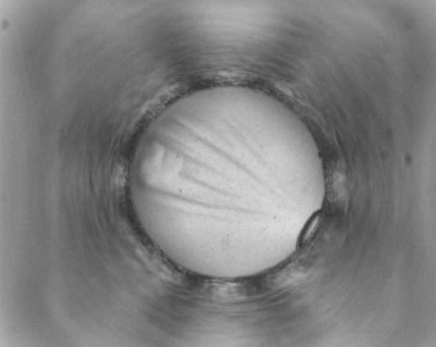 X0000089380472200707061143