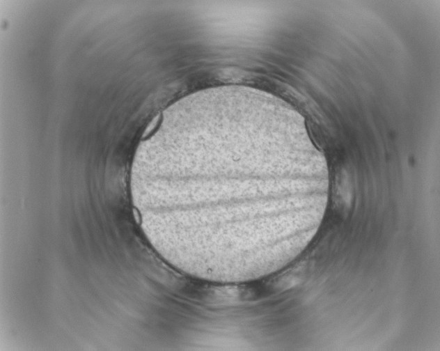 X0000089380473200707061143