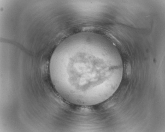 X0000089380475200707061143