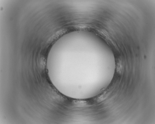 X0000089380476200707061143