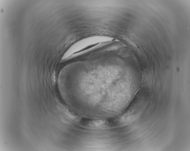 X0000089380479200707061143