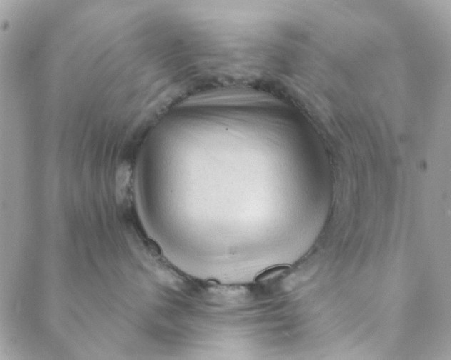 X0000089380480200707061143