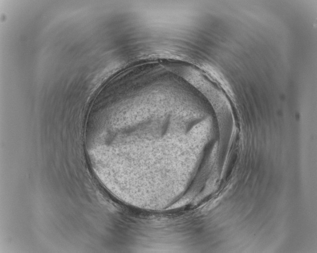 X0000089380481200707061143