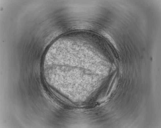 X0000089380482200707061143