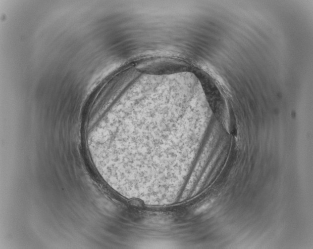 X0000089380486200707061143