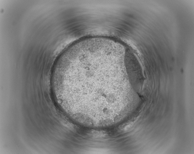 X0000089380487200707061143