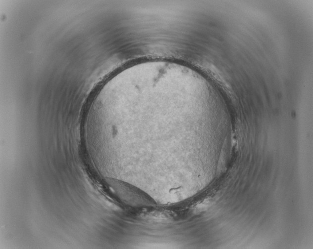 X0000089380488200707061143