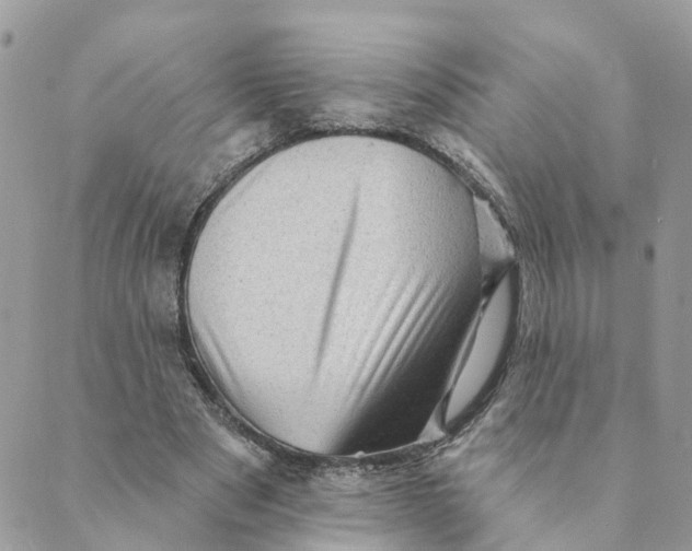 X0000089380489200707061143