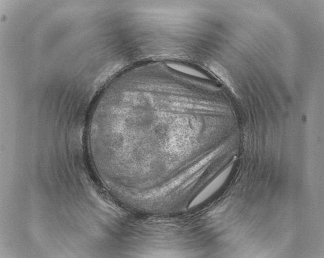 X0000089380491200707061142