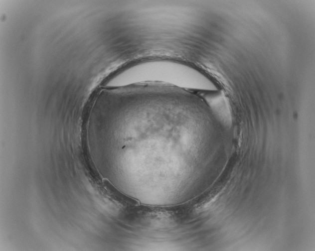 X0000089380492200707061142