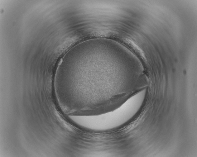 X0000089380493200707061142