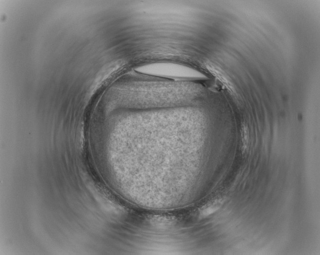 X0000089380494200707061142