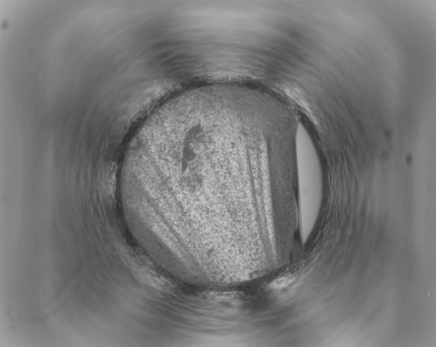 X0000089380495200707061142