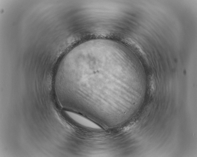 X0000089380496200707061142