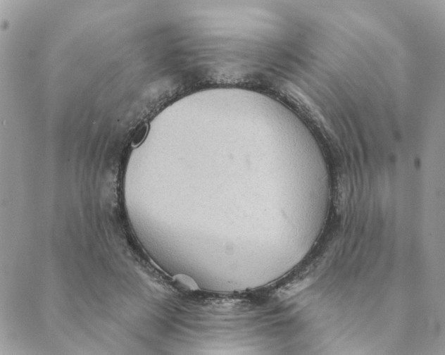 X0000089380497200707061142