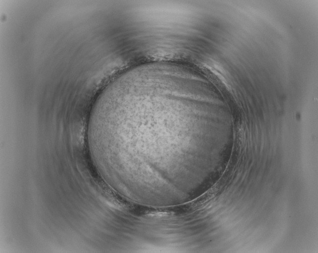 X0000089380499200707061142