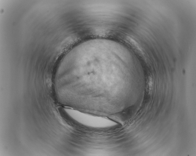 X0000089380500200707061142