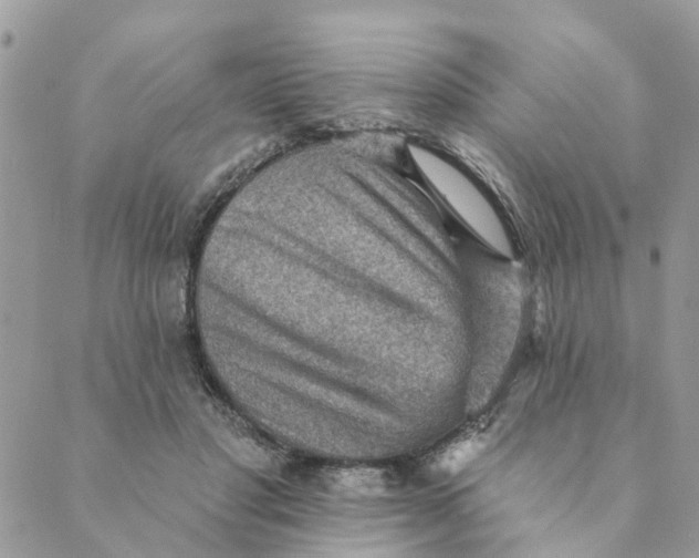 X0000089380501200707061142