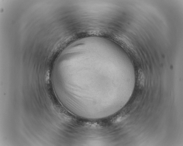 X0000089380502200707061142