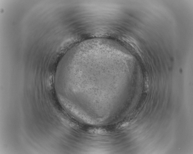 X0000089380503200707061142