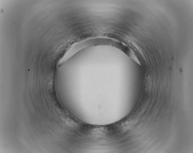 X0000089380505200707061142