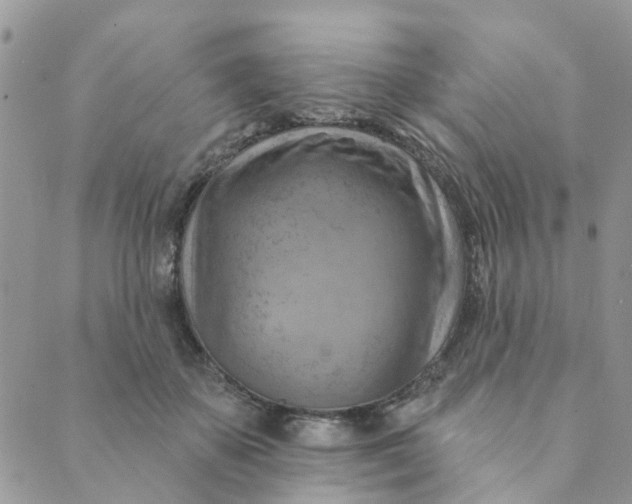 X0000089380507200707061142