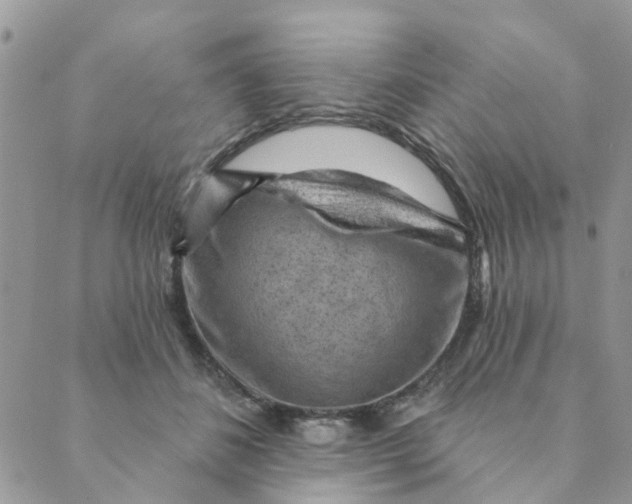 X0000089380508200707061142