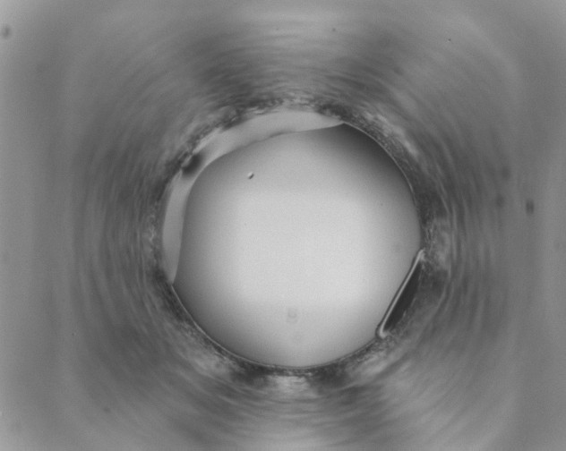 X0000089380509200707061142