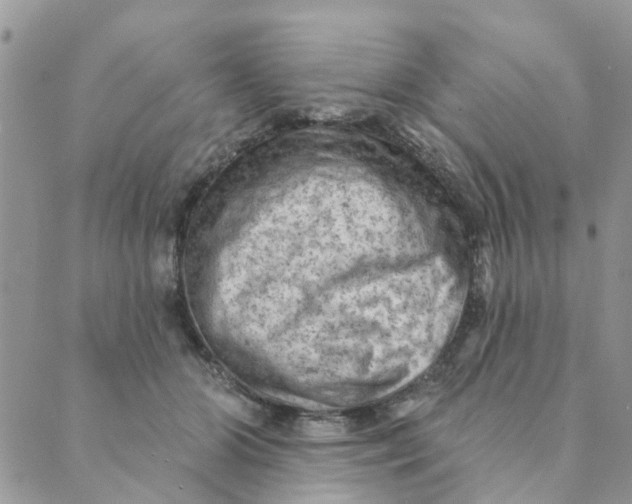 X0000089380510200707061142