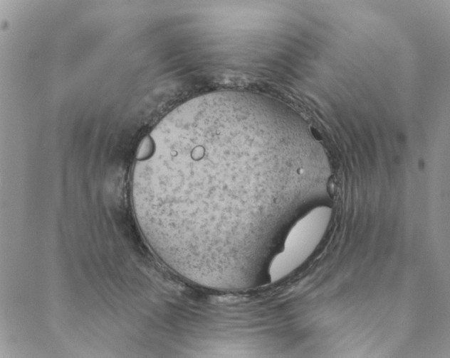 X0000089380511200707061142