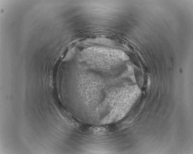 X0000089380512200707061142