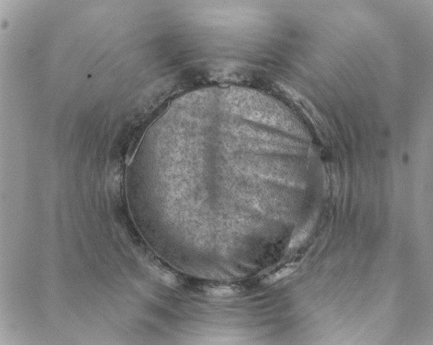 X0000089380513200707061142