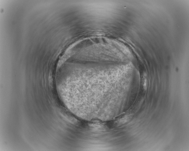 X0000089380516200707061142