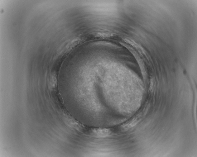 X0000089380517200707061142