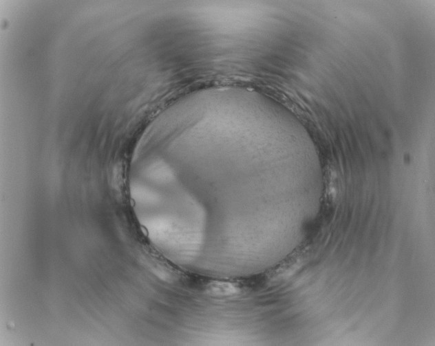 X0000089380519200707061142