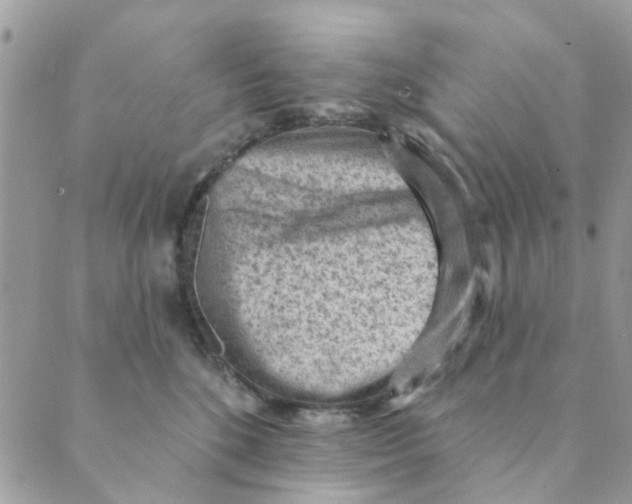 X0000089380520200707061142