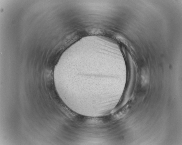 X0000089380521200707061142