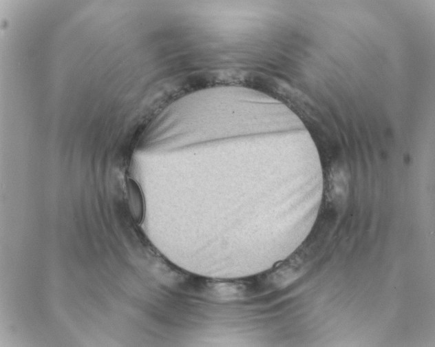 X0000089380522200707061142