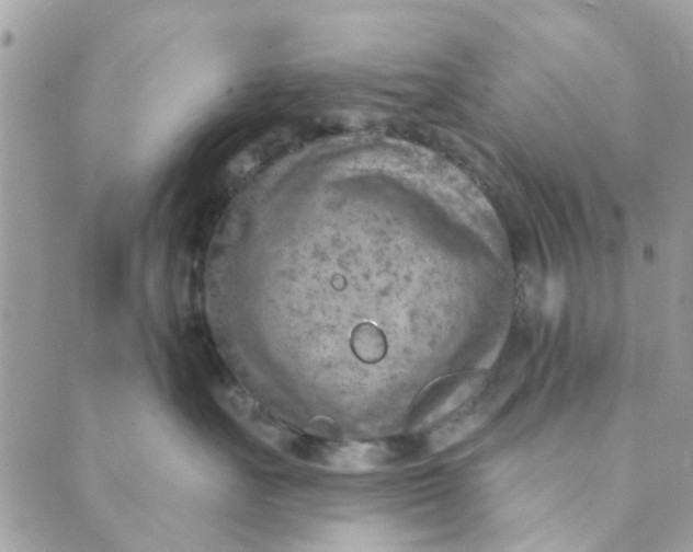 X0000089380527200707061142