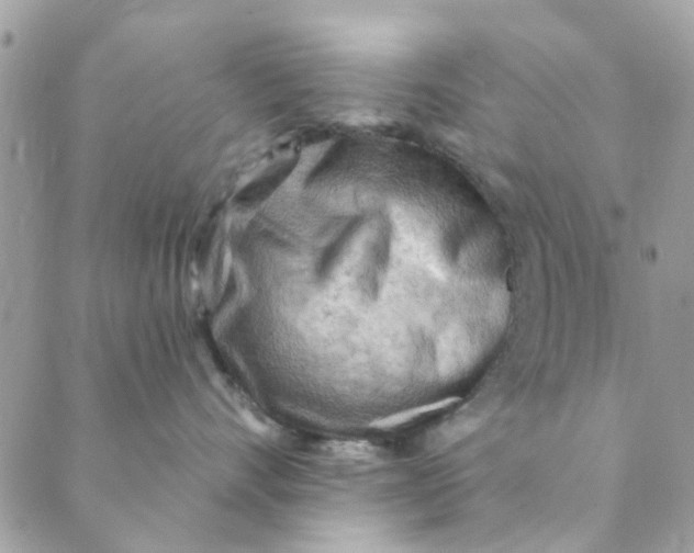 X0000089380528200707061142