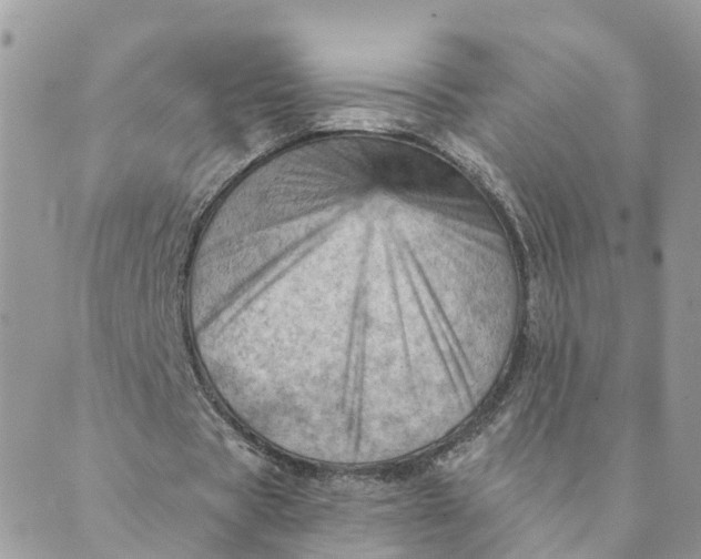 X0000089380529200707061141