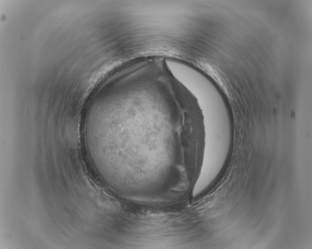 X0000089380531200707061141